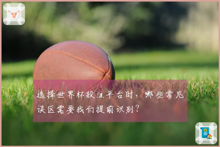选择世界杯投注平台时，哪些常见误区需要我们提前识别？