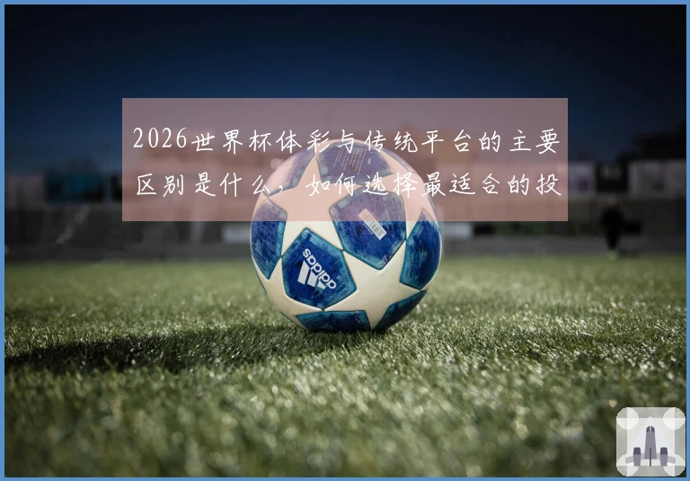 2026世界杯体彩与传统平台的主要区别是什么，如何选择最适合的投注方式？