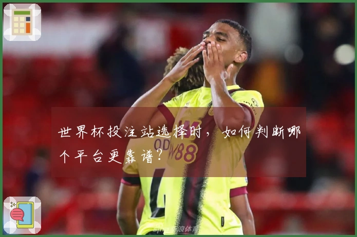 世界杯投注站选择时，如何判断哪个平台更靠谱？