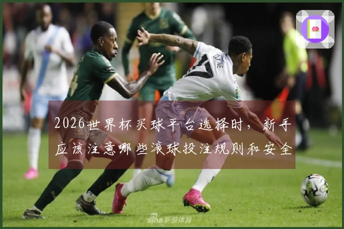2026世界杯买球平台选择时，新手应该注意哪些滚球投注规则和安全事项