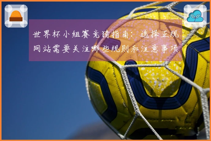 世界杯小组赛竞猜指南：选择正规网站需要关注哪些规则和注意事项