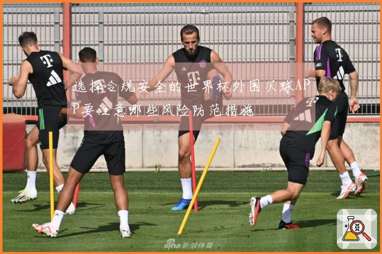 选择合规安全的世界杯外围买球APP要注意哪些风险防范措施